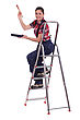 Stock Photo : Adult Pictures: Female Painter On Ladder