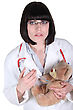 Stock Photo : Security Stock Image: Nurse Giving An Injection To A Teddy Bear
